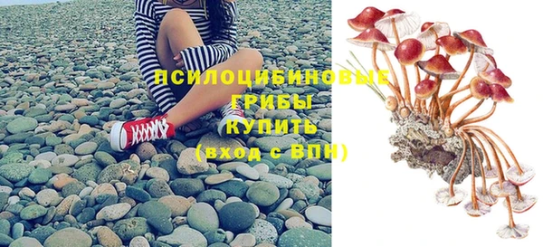 таблы Новозыбков