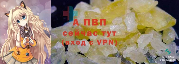 таблы Новозыбков