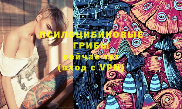 таблы Новозыбков