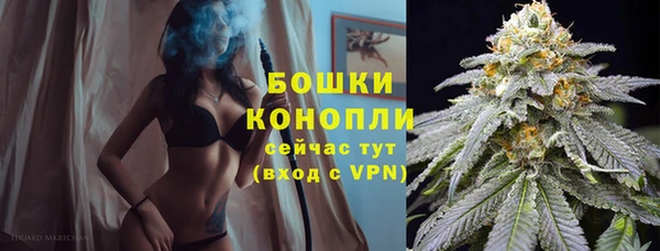 таблы Новозыбков