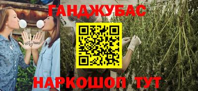 гашик Гусев