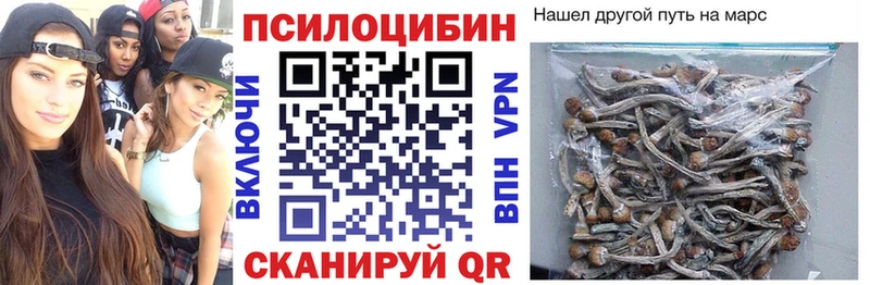 Псилоцибиновые грибы Psilocybe  Магадан 