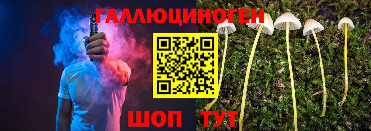 Лсд 25 Магадан
