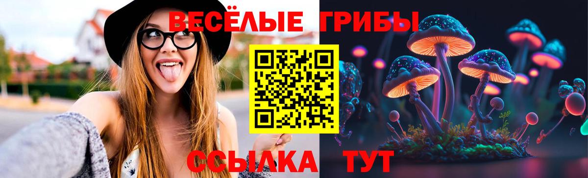 Галлюциногенные грибы Cubensis Магадан